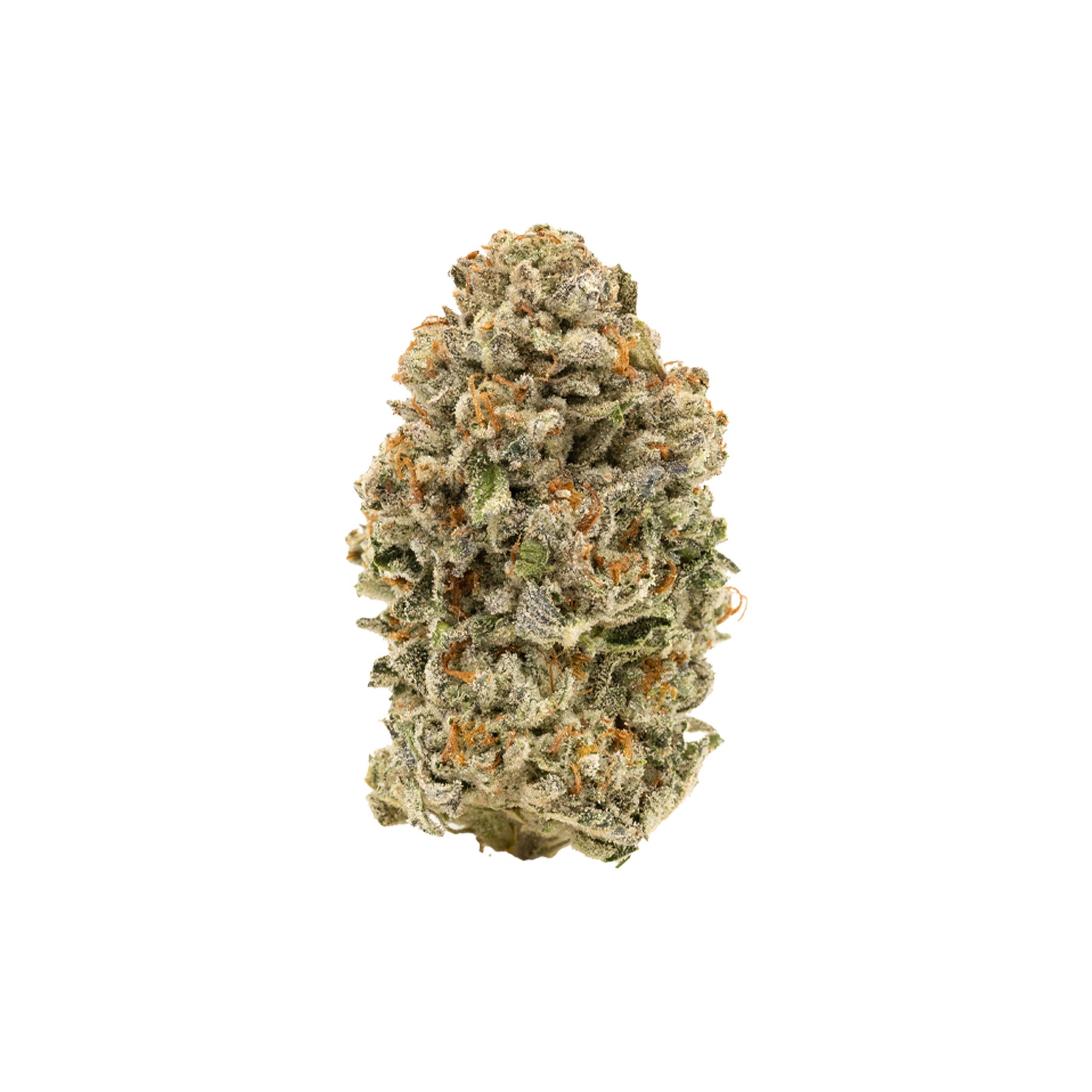 Simply Bare : BC ORGANIC HIGH SOCIETY