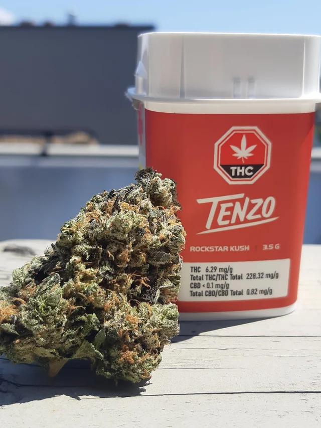 TENZO : ROCKSTAR KUSH