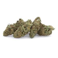 Vertical Cannabis : SHISHKABERRY