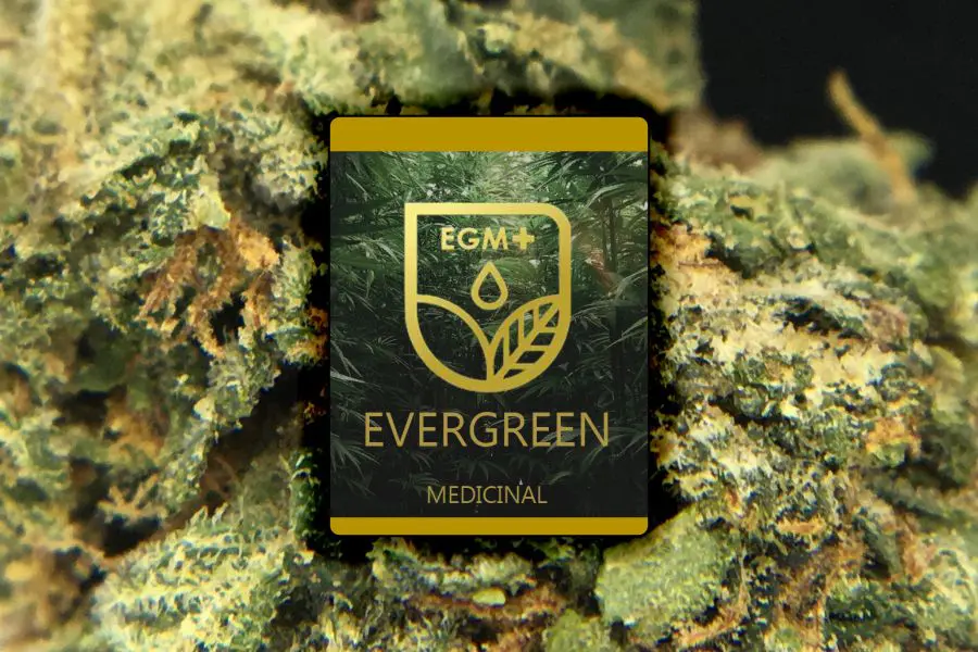 Evergreen Medicinal : IN THE ZONE CAPSULES (15)