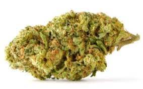 Haven St. : NO. 403 MANGO KUSH