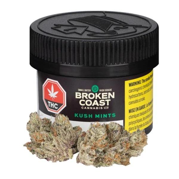BROKEN COAST : KUSH MINTS