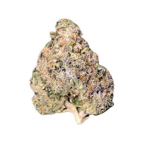 Fort 20 Farms : Bc Key Moh Kush