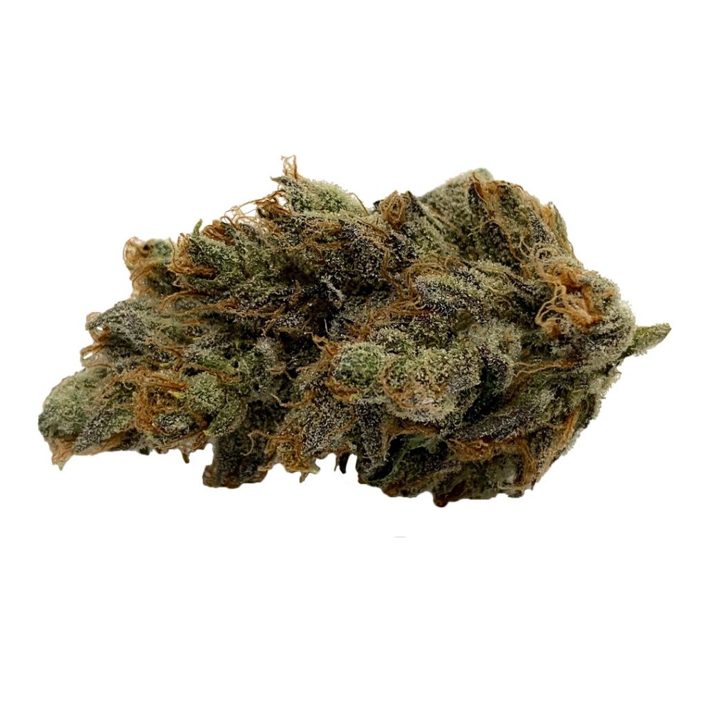 Gage Cannabis Co : ORANGE CKS