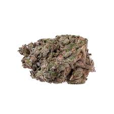 CHOKLIT PARK : HIGH COUNTRY DIESEL