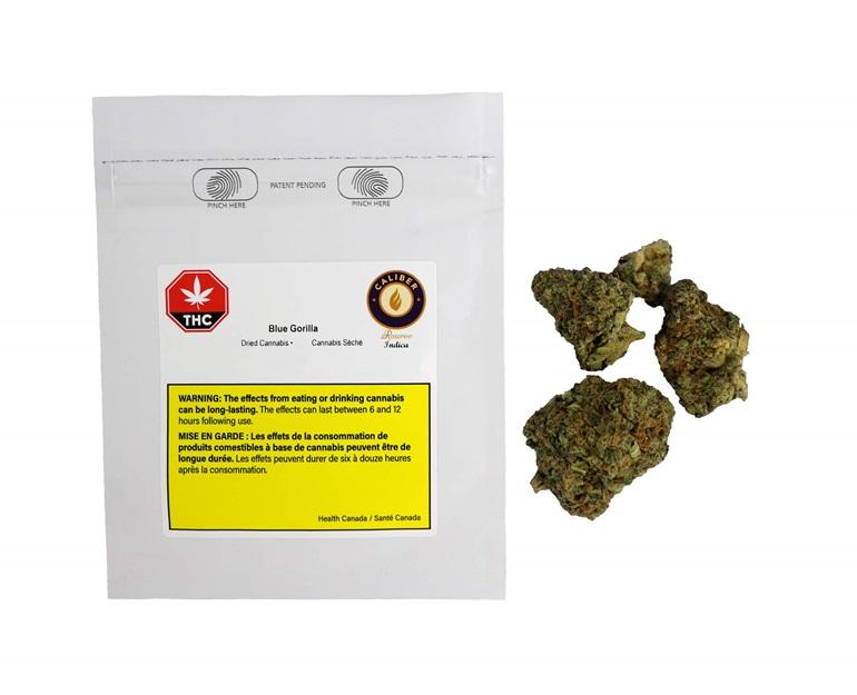 Caliber Reserve - Blue Gorilla -  Hybrid 3.5G