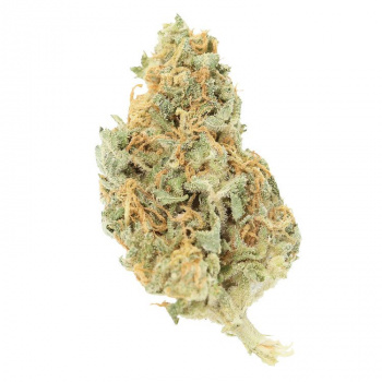 WINK : ORANGE BUD 3.5G