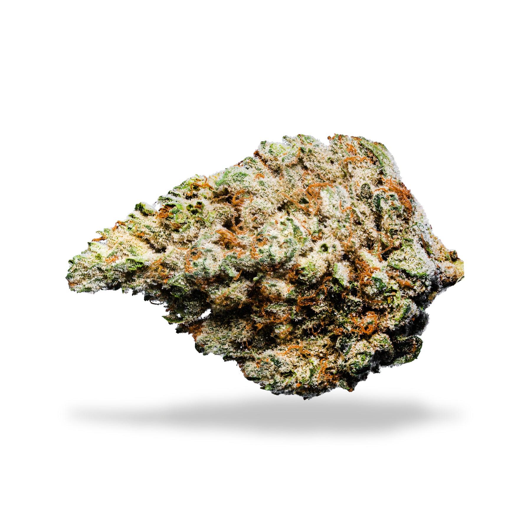 Lotus : Keylime Kush