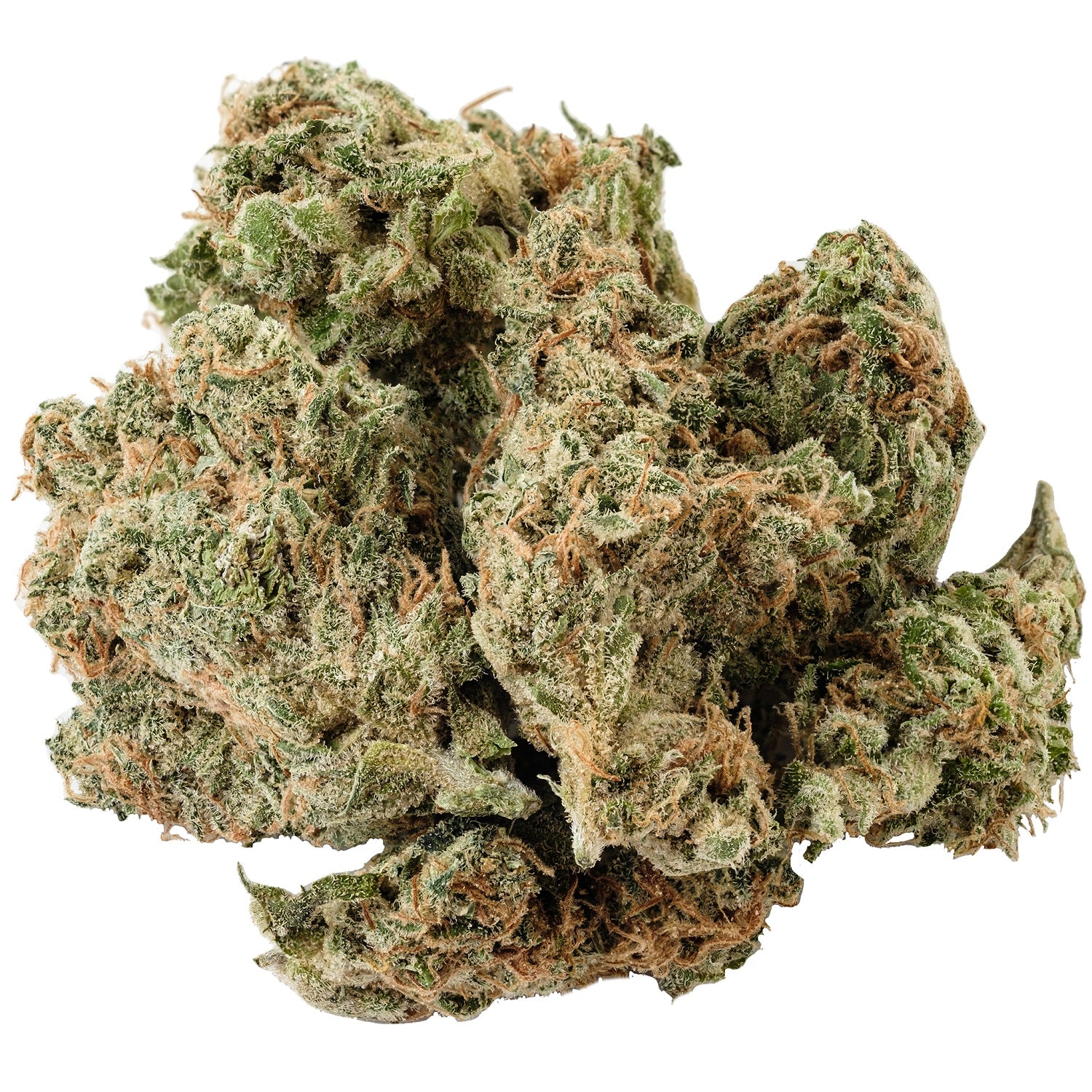 Kolab Project - Tranquil Elephantizer -  Indica 3.5G