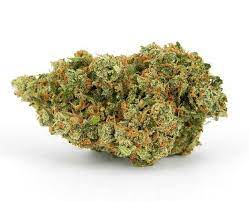 The Quarry : JACK HERER