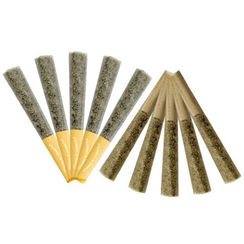 Cheap & Cheerful : Cheap & Cheerful Indica Variety Pack Pre-Rolls (10x0.5g)