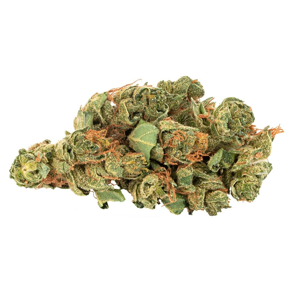 Daily Special : SATIVA