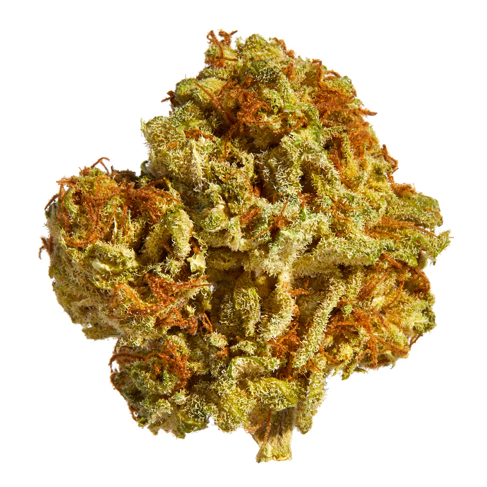 Royal High : SERIOUS KUSH