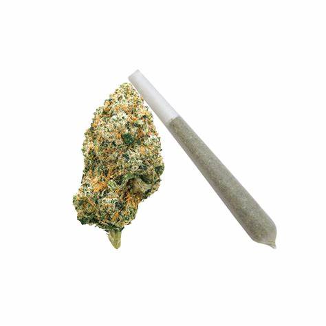 IGNITE : PLATINUM KUSH PRE ROLL (1x0.5g)