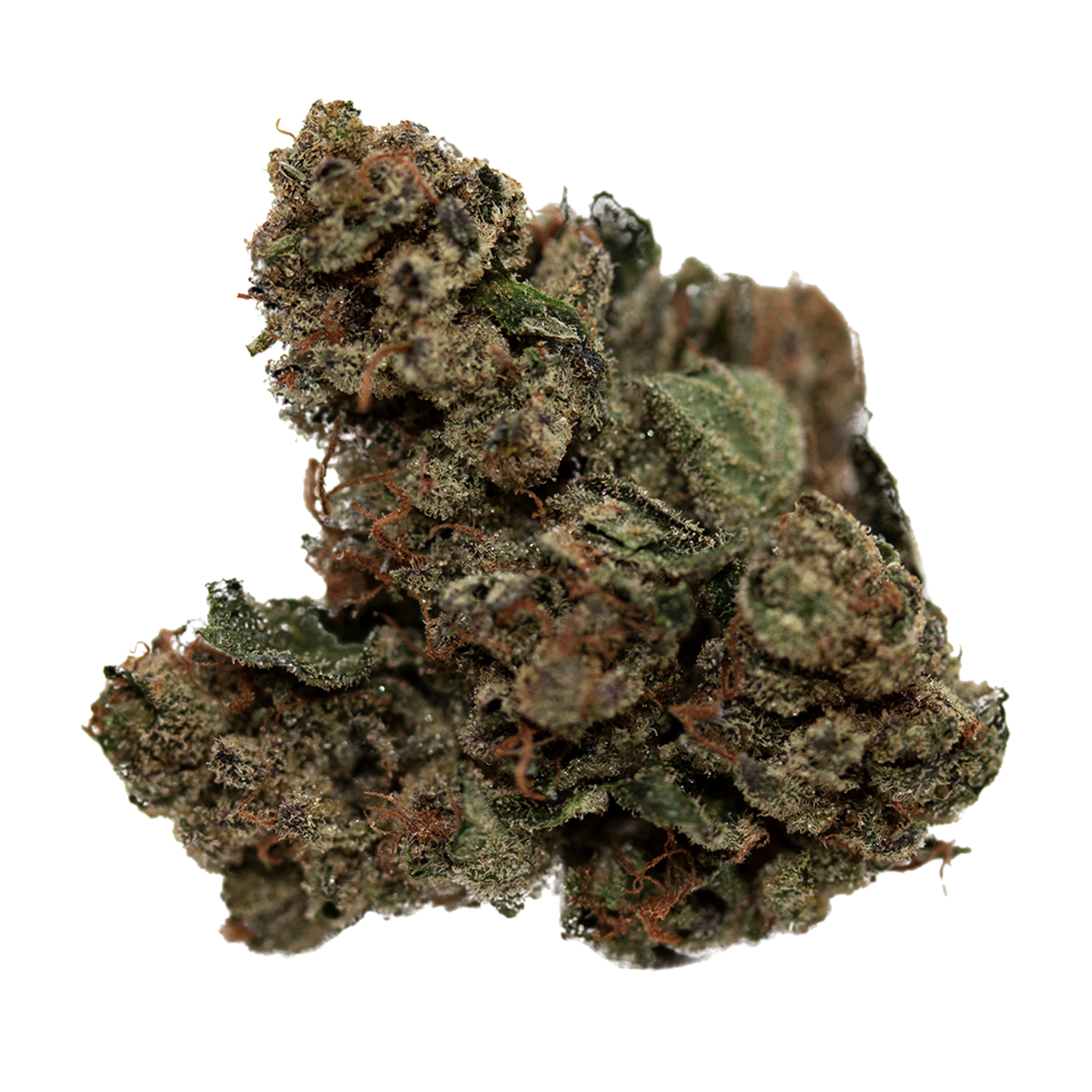 CHOICE GROWERS CANNABIS : GG4