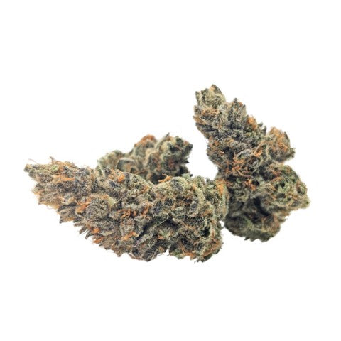 Organnicraft X Kootenay Cultivar : Pink Zugar