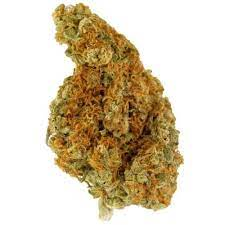 Whistler Cannabis Co. : BLUEBERRY LAMBSBREAD OIL (15mL)
