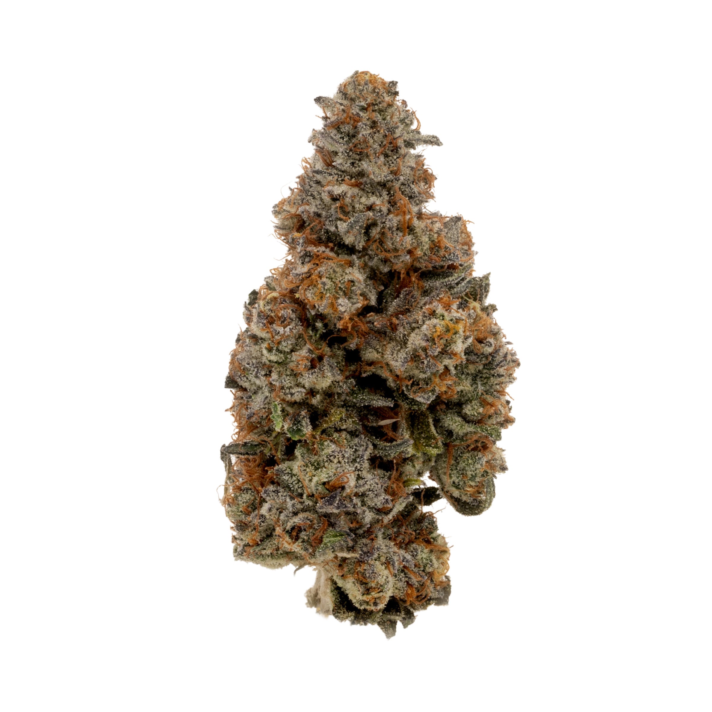 Simply Bare : Bc Organic Zookies Lto
