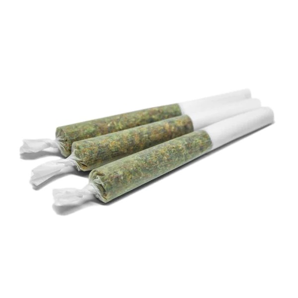 SPINACH : COCOA BOMBA PRE-ROLLS - COCOA BOMBA PRE-ROLLS (3x.5g)
