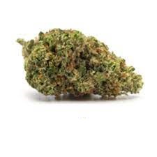 Plain Packaging : INDICA