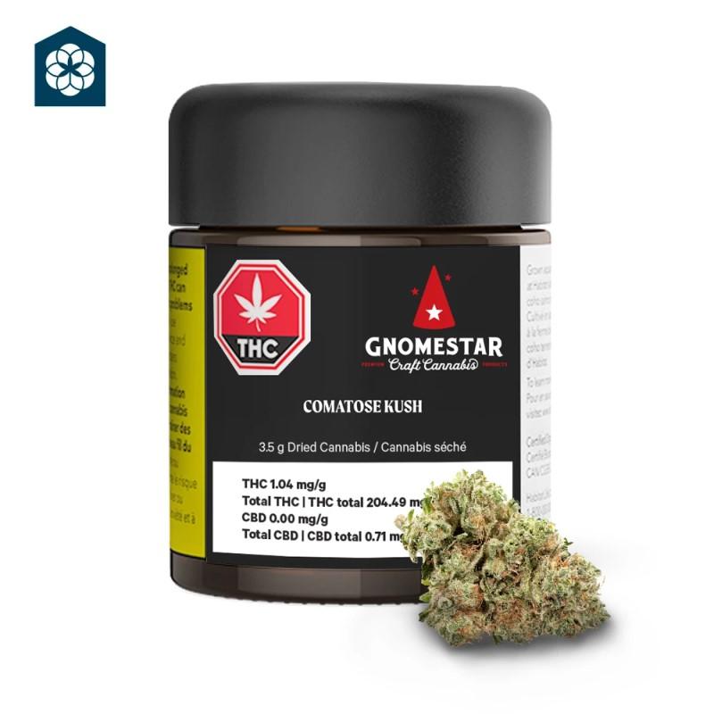 Gnomestar - Comatose Kush -  Hybrid 3.5G