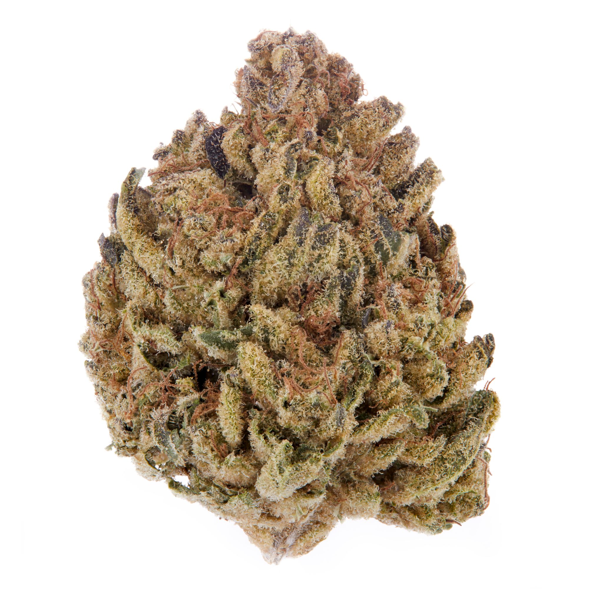 Sitka Micro Collection : GRAPE JELLY DONUT