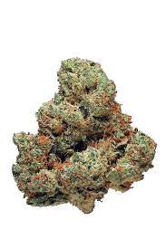 Rare Dankness : SCOTT'S OG