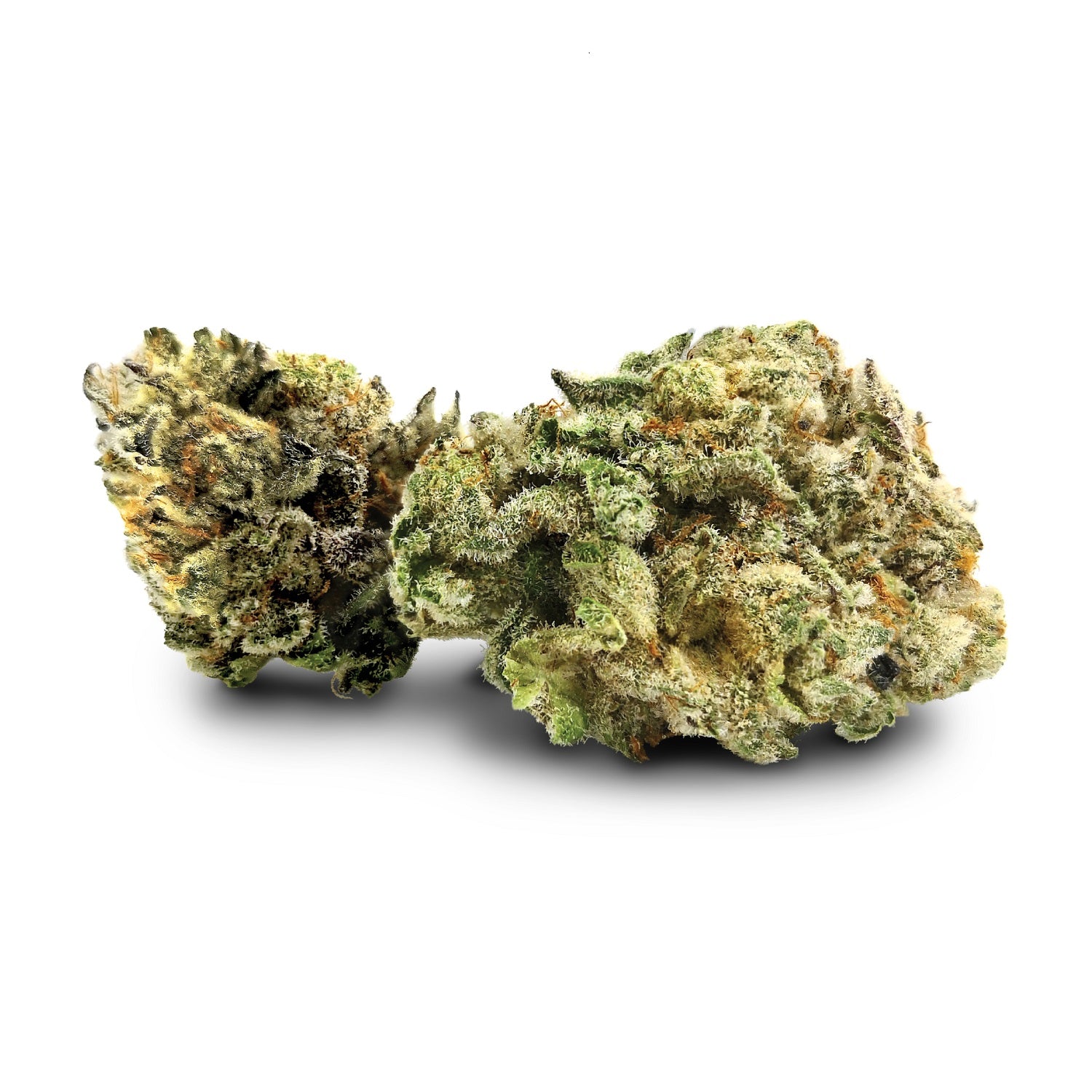 BC Black : PUREFIRE BLACK TRUFFLE