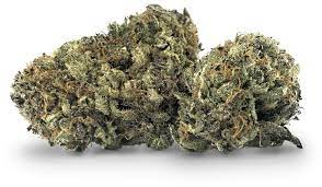 BC BLACK : WEST KOOTENAY HAWAIIAN HAMMER