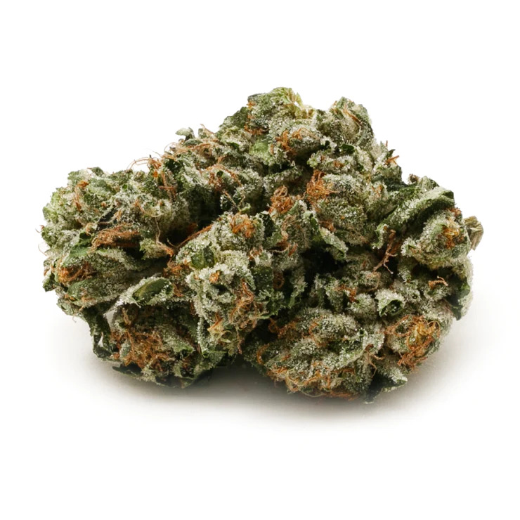 Canna Farms : PINK KUSH