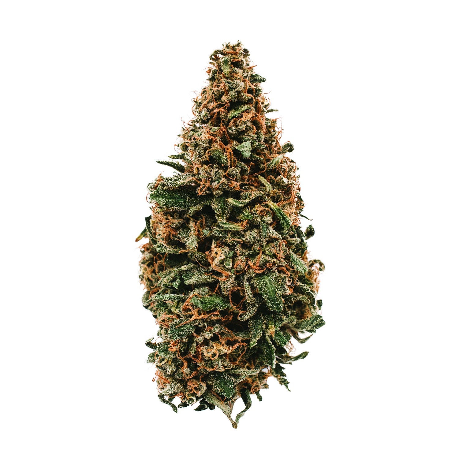 Original Stash - Os. One Durban Poison - Sativa 28G