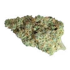 Seleste - K. Tut - Indica 3.5G