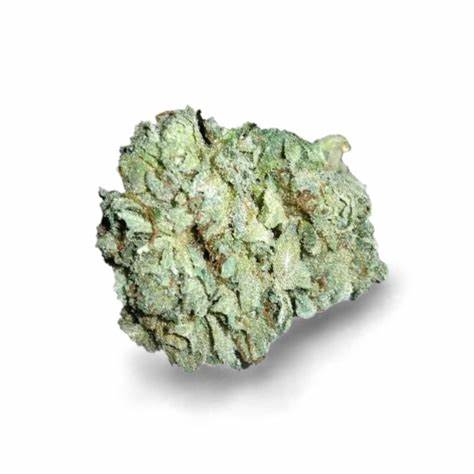Aaron's BC Bud : WRECK BEACH ICE