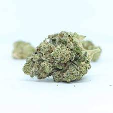 BC GREEN : WEDDING POOP