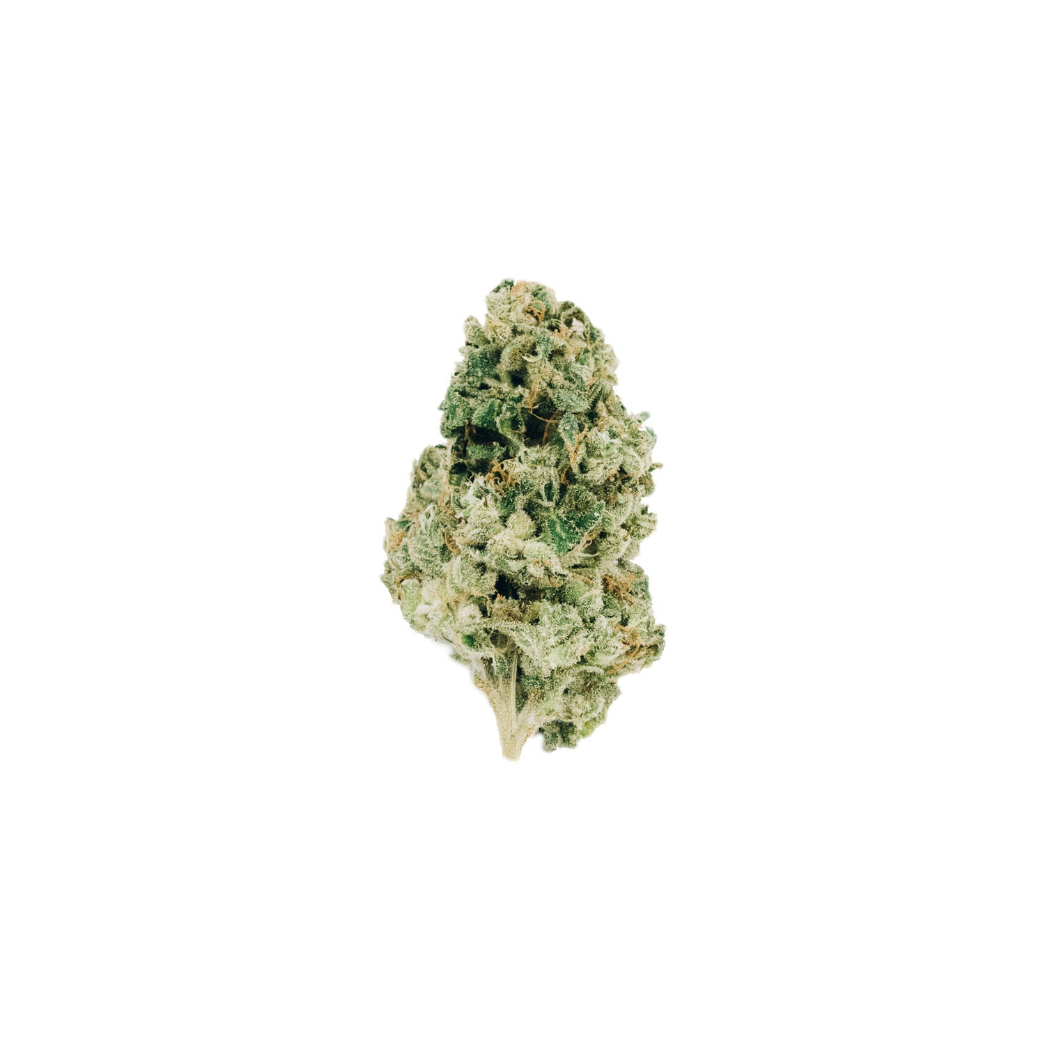 Starrpac Craft Cannabis - Rocketpac - Coastal Sage - Hybrid 3.5G