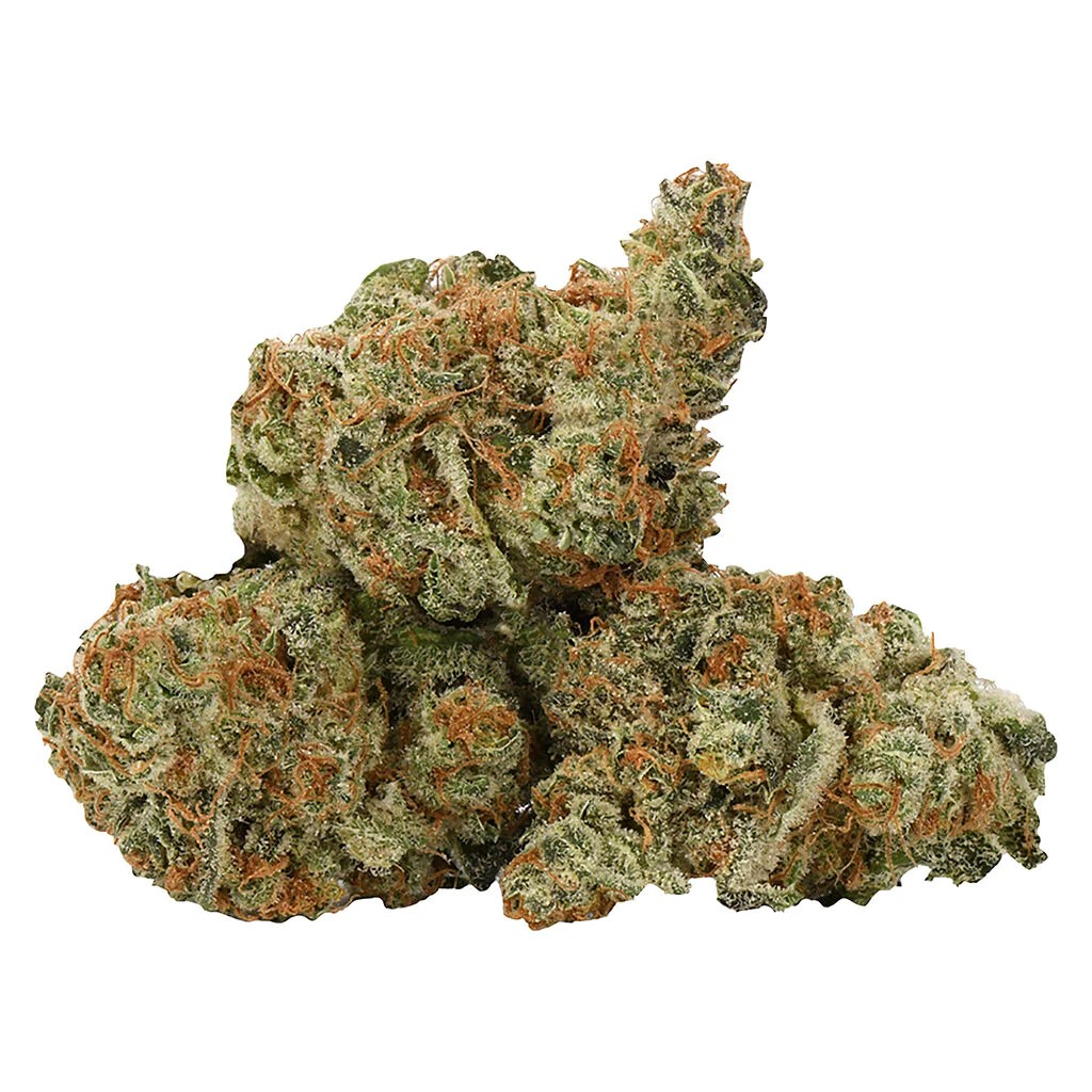 NESS : BERMUDA SOUR