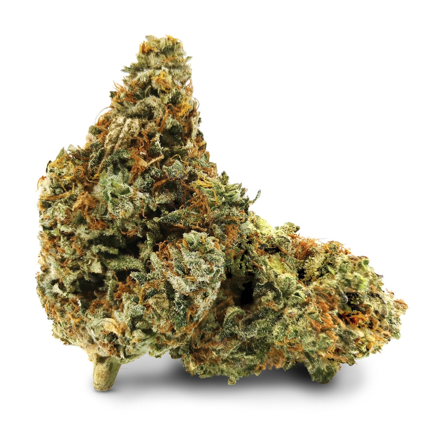 HIGH MAINTENANCE : HONEY LIME KUSH