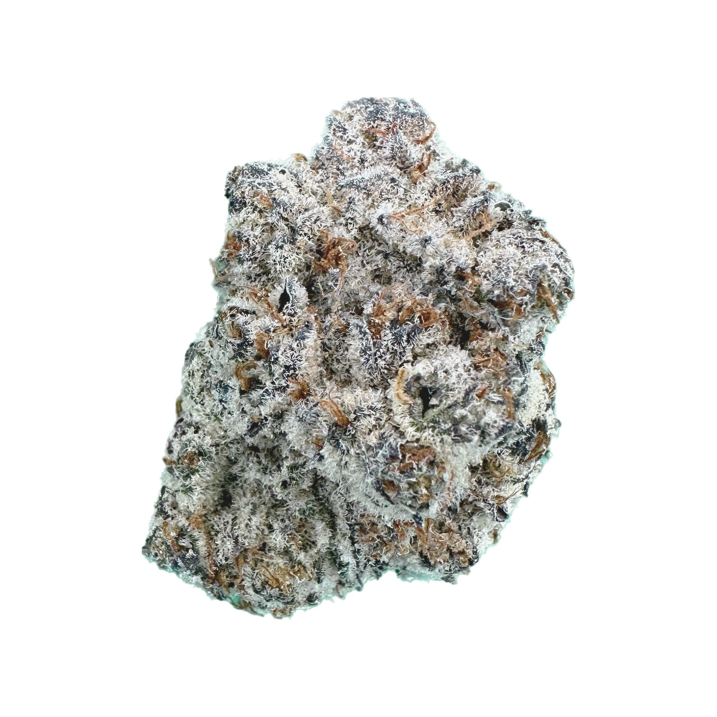 Rocky Mountain Cannabis : London Jealousy