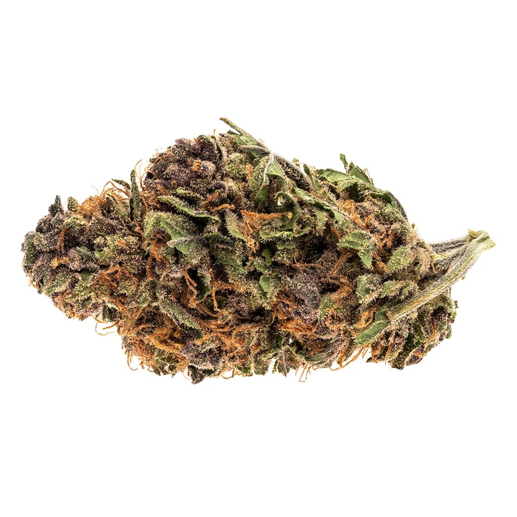 Good Supply : ROYAL HIGHNESS
