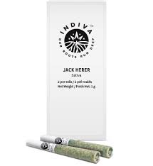 Saturday : JACK HERER PRE-ROLL (1g)