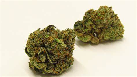 TABLE TOP : JUNGLE CAKE