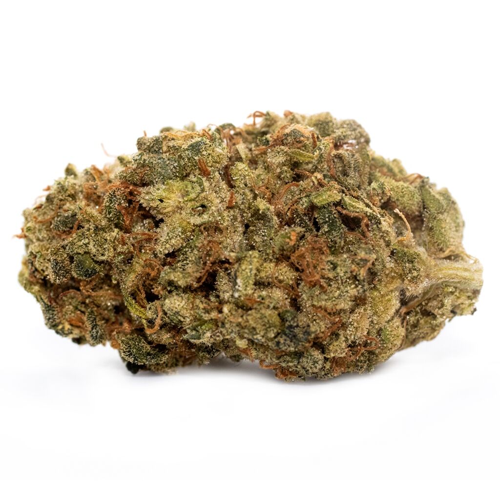 REEF : REEF HIGH SEAS