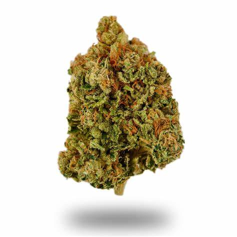 STRAIN REC : SOUR KOSHER