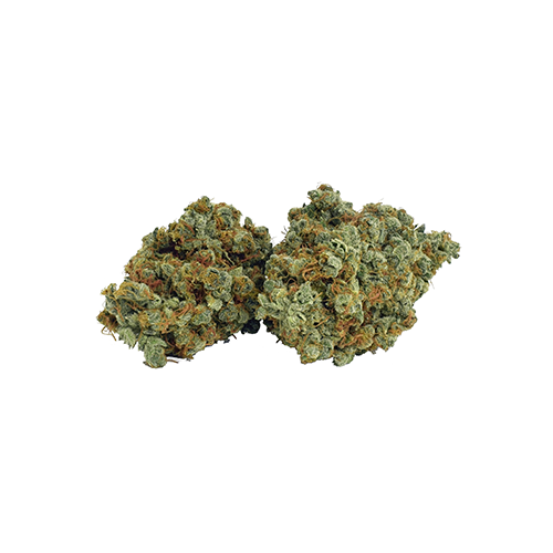 BROKEN COAST : NORTHERN LIGHTS HAZE