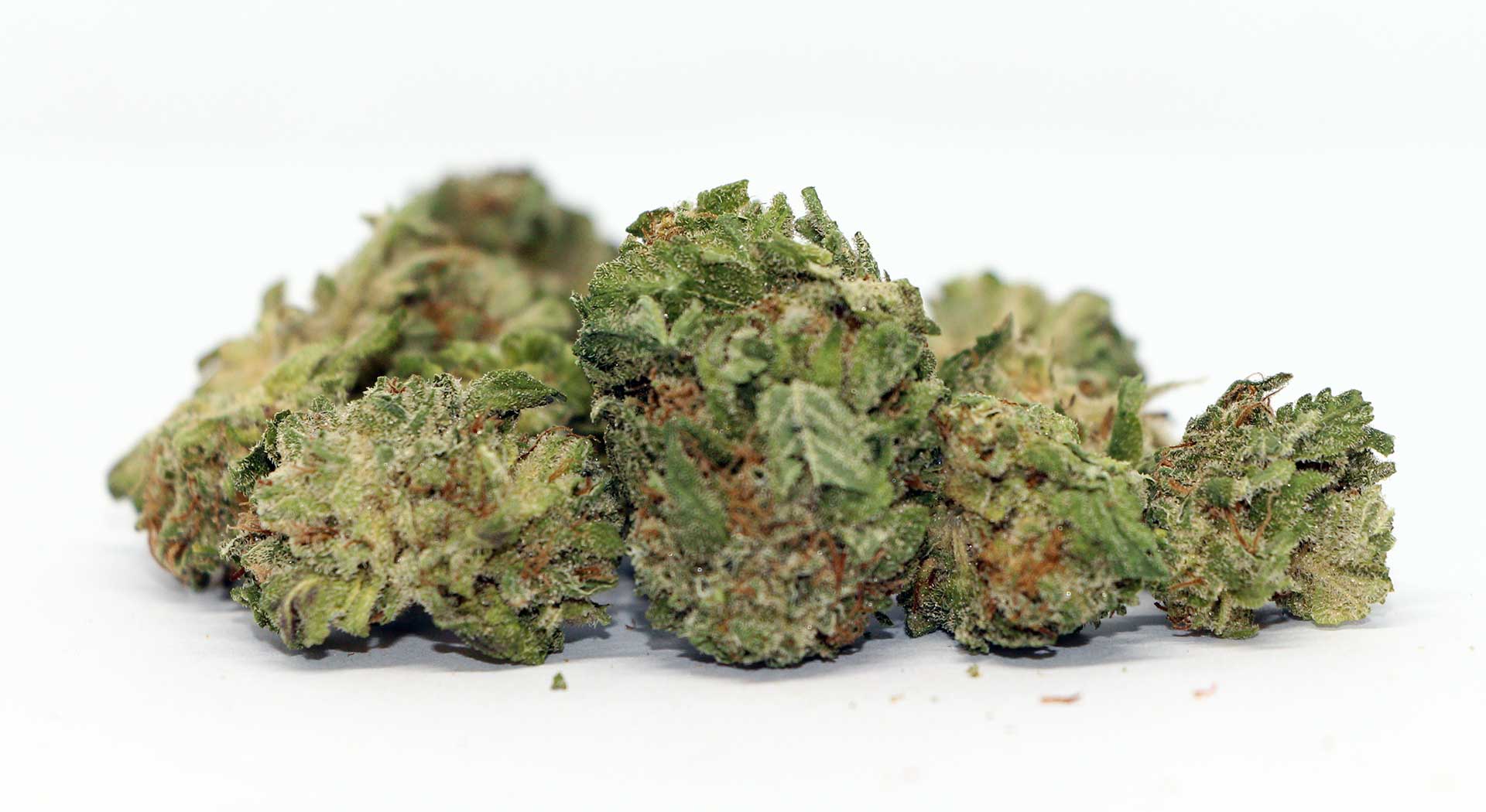 PURE SUNFARMS : BLUEBERRY KUSH