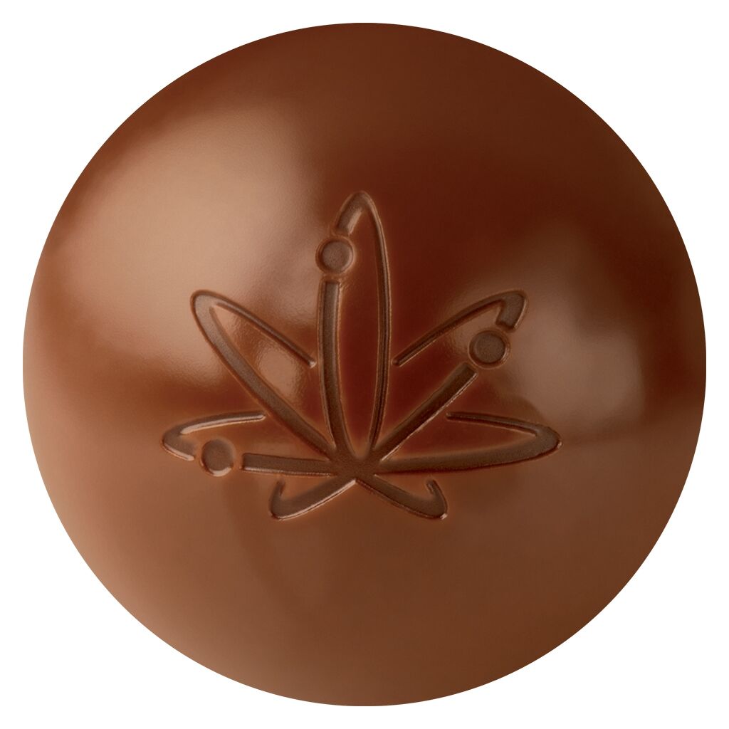 Edison : BYTE TRUFFLE - MILK CHOCOLATE (12.5g)