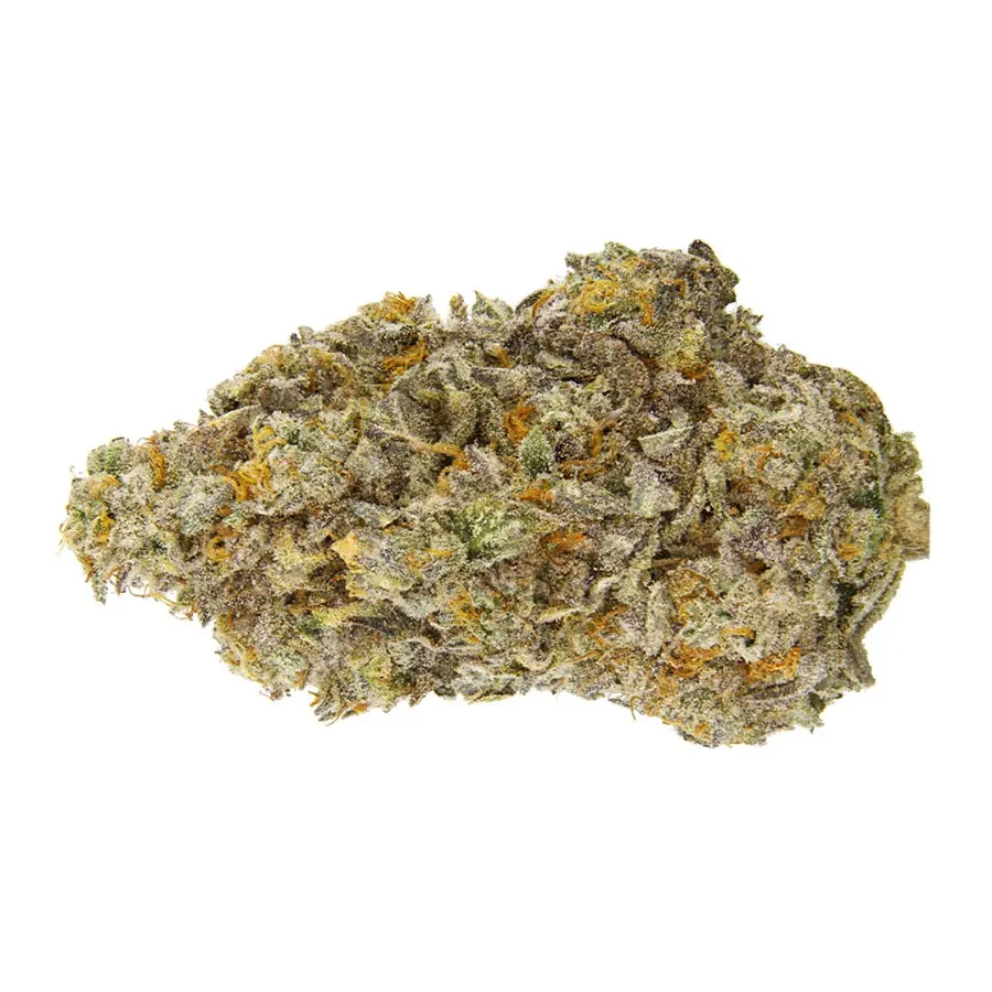 QWEST : ICE QWEST