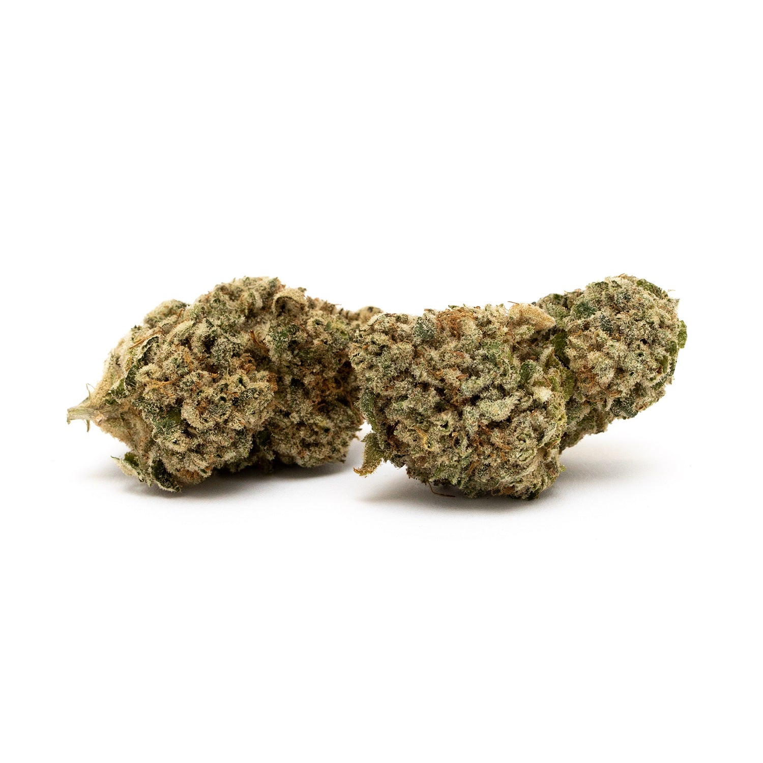 SITKA MICRO COLLECTIONS : DRAGON FRUIT MINTZ