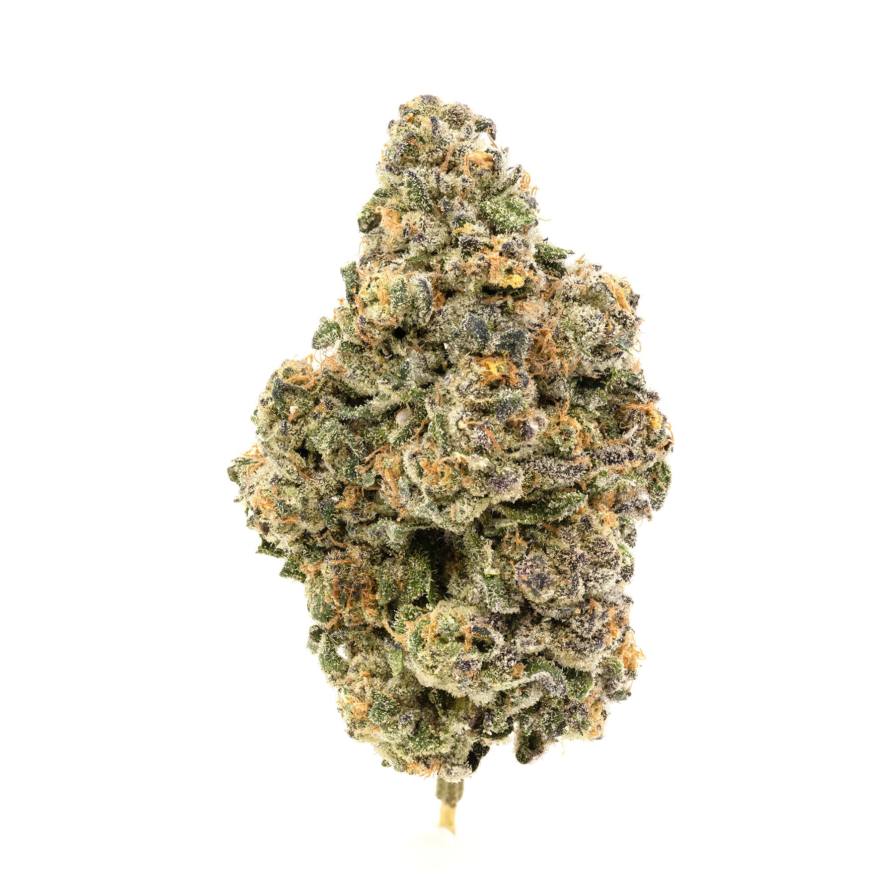 Simply Bare : BC ORGANIC WHITE RAINBOW