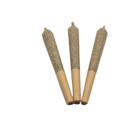 Papa Joes Organics : Blueberry Shizzle Pre-Rolls (3x0.5g)